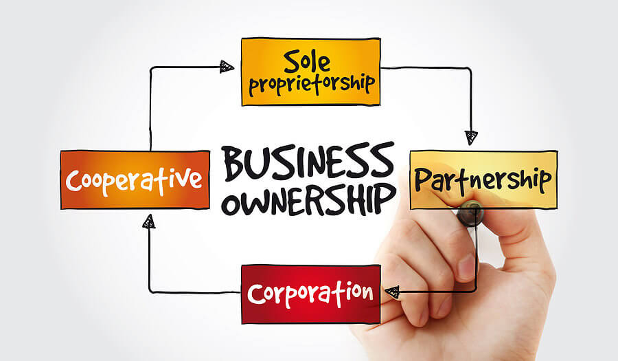 business ownership structure